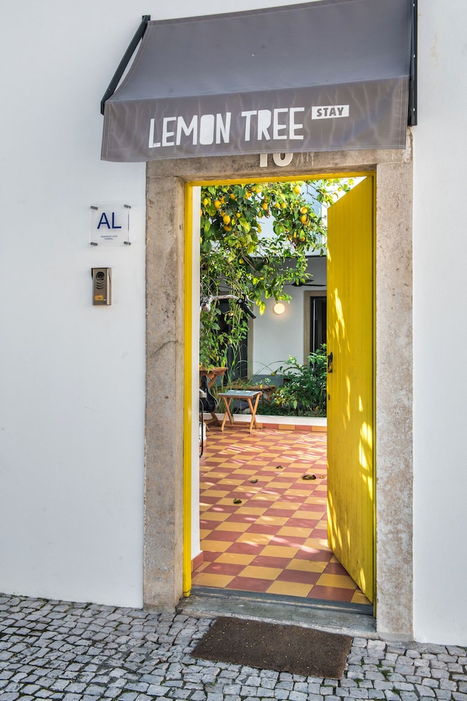 Lemon Tree Stay