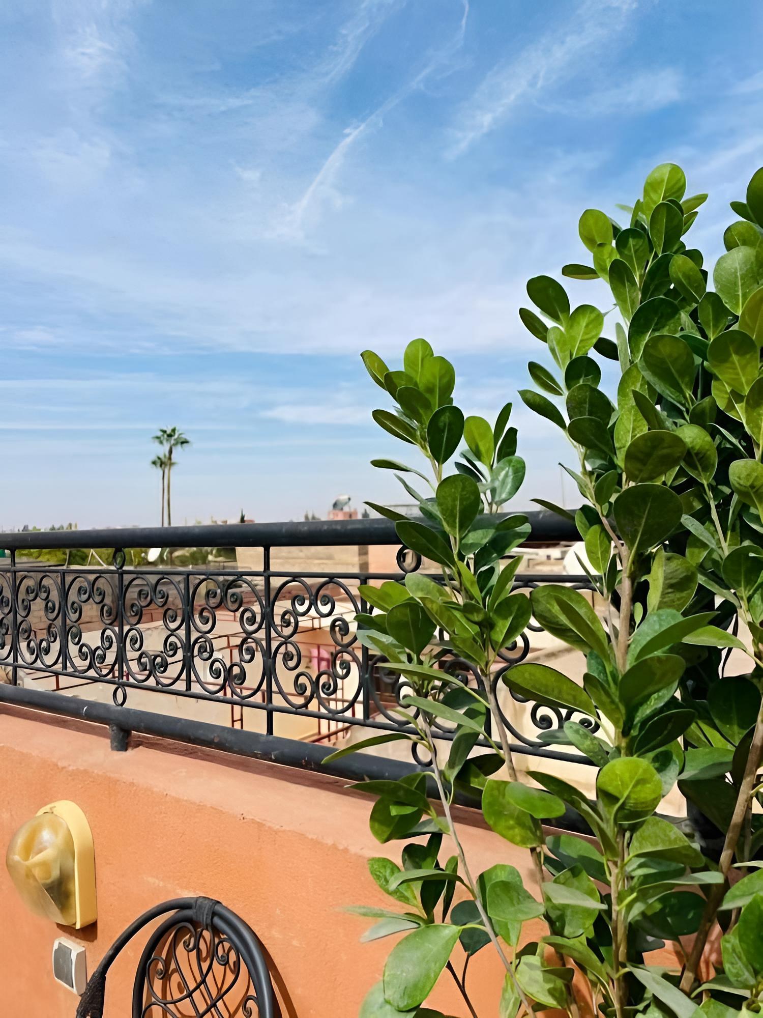 Riad Terrasse MS Holiday Medina view 2