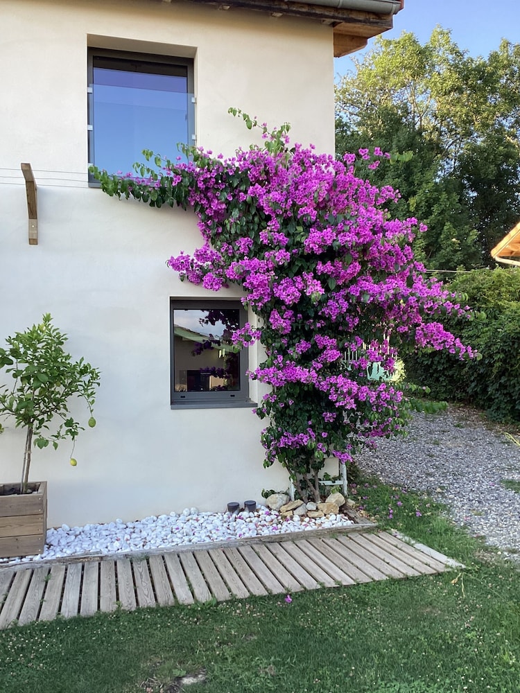 La Maison des 3 Chouettes