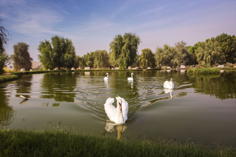 Telal Resort, Al Ain