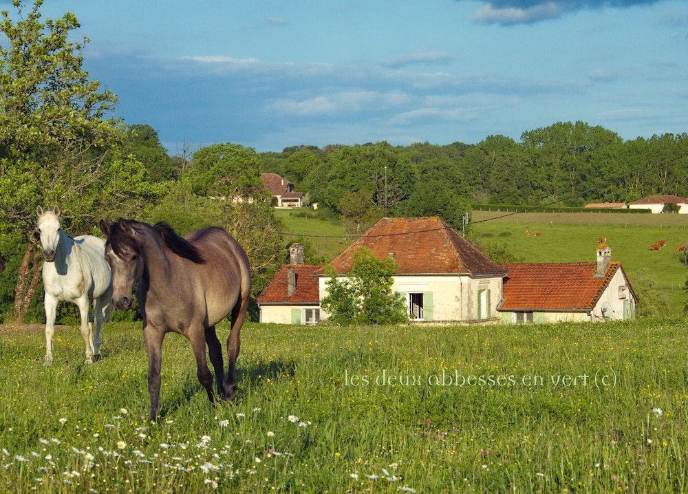 Les Deux Abbesses en Vert