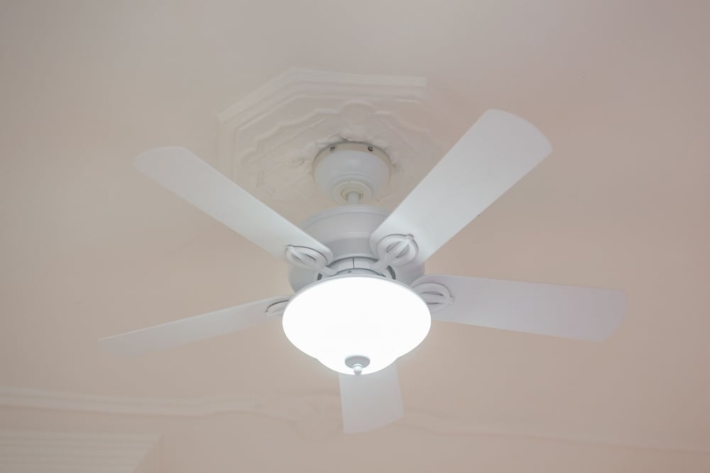 Luminous Flat in Great Location