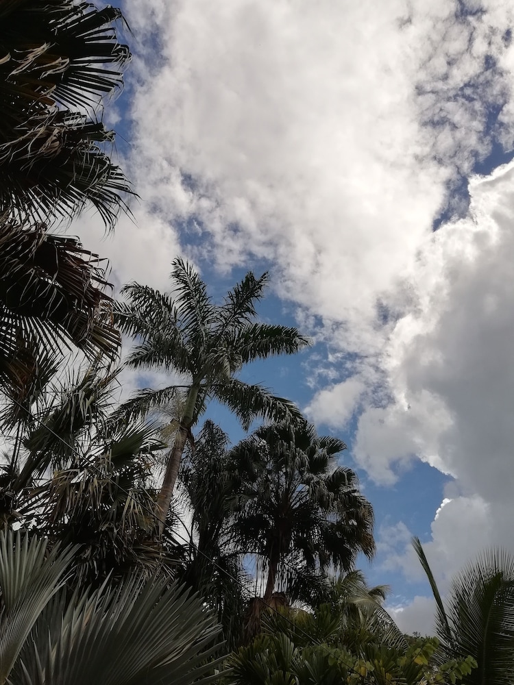 Omega Tours Adventure Company & Eco Jungle Lodge