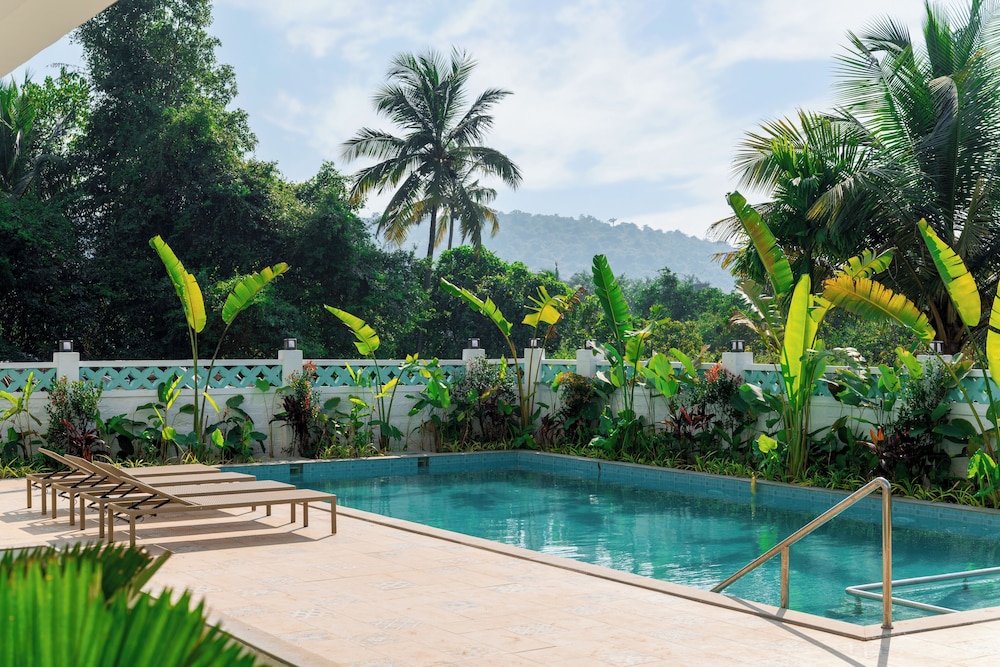 Yellowstone Resort Arambol