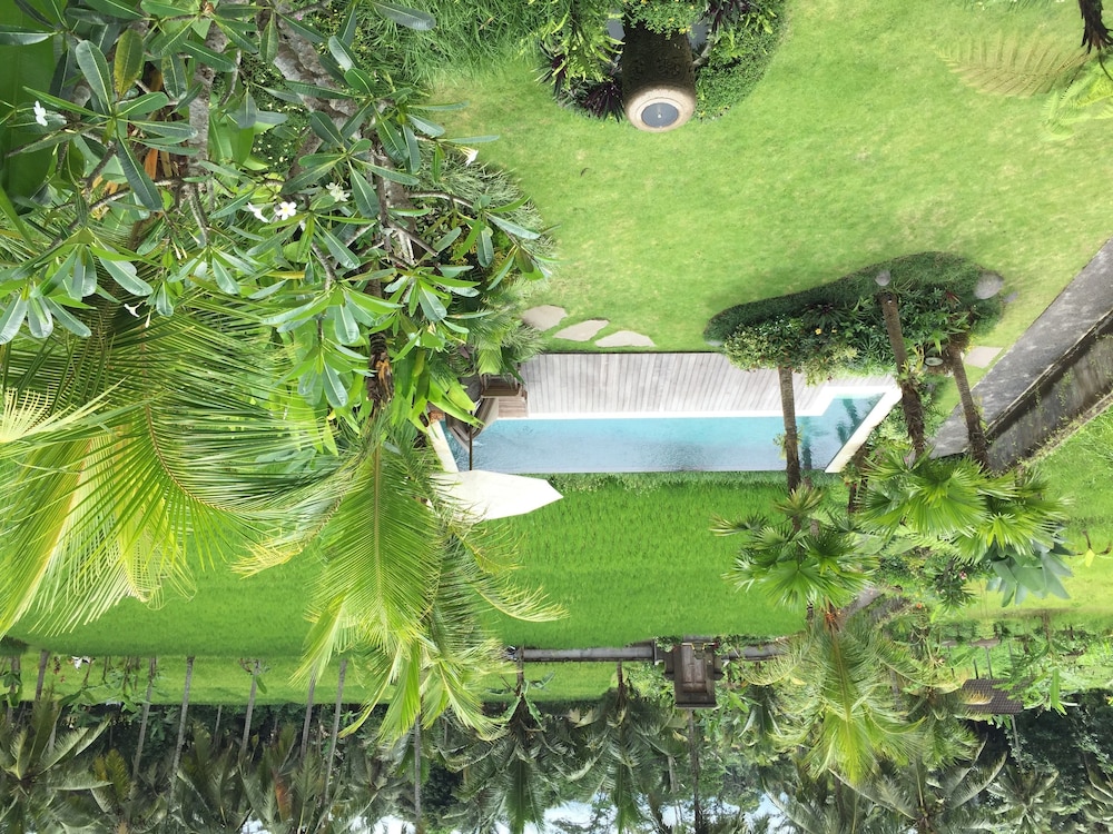 The Suris Ubud view 2