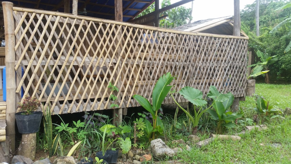 Banana Grove Backpackers Inn