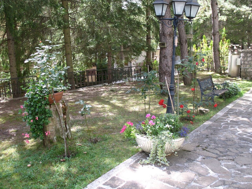 Photo 9