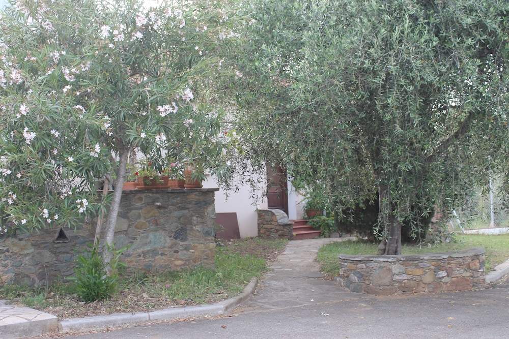 Chambres d'hôtes Le Clos des Oliviers