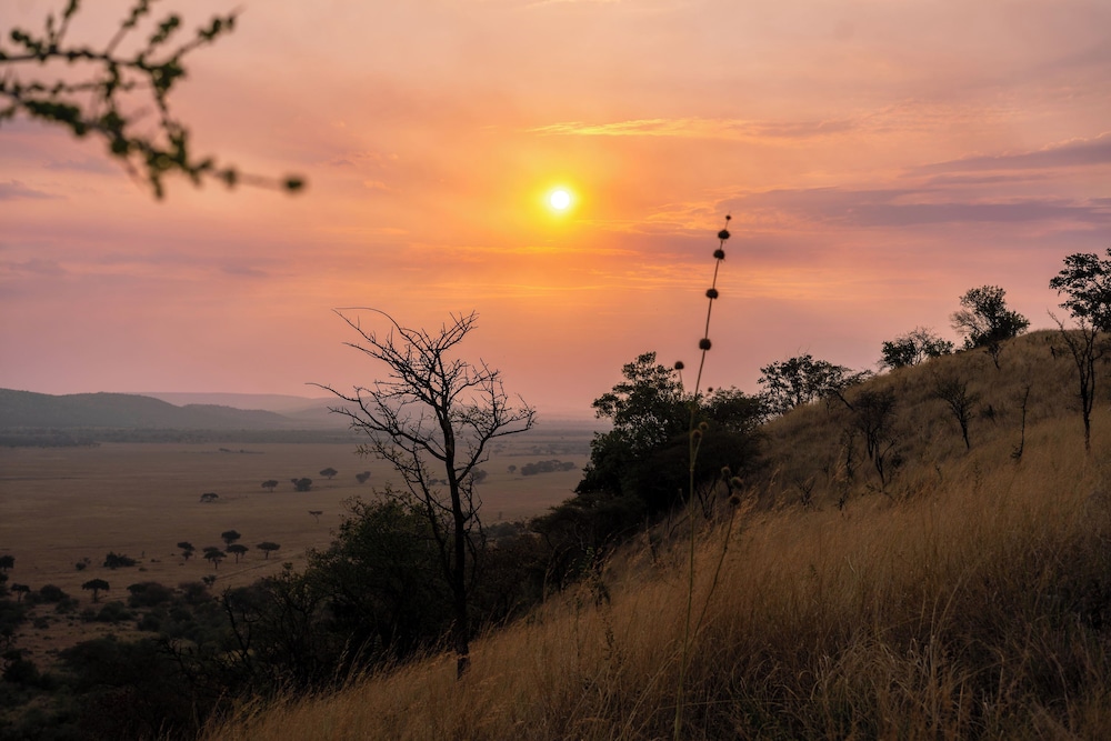 Neptune Serengeti Luxury Tented Camp