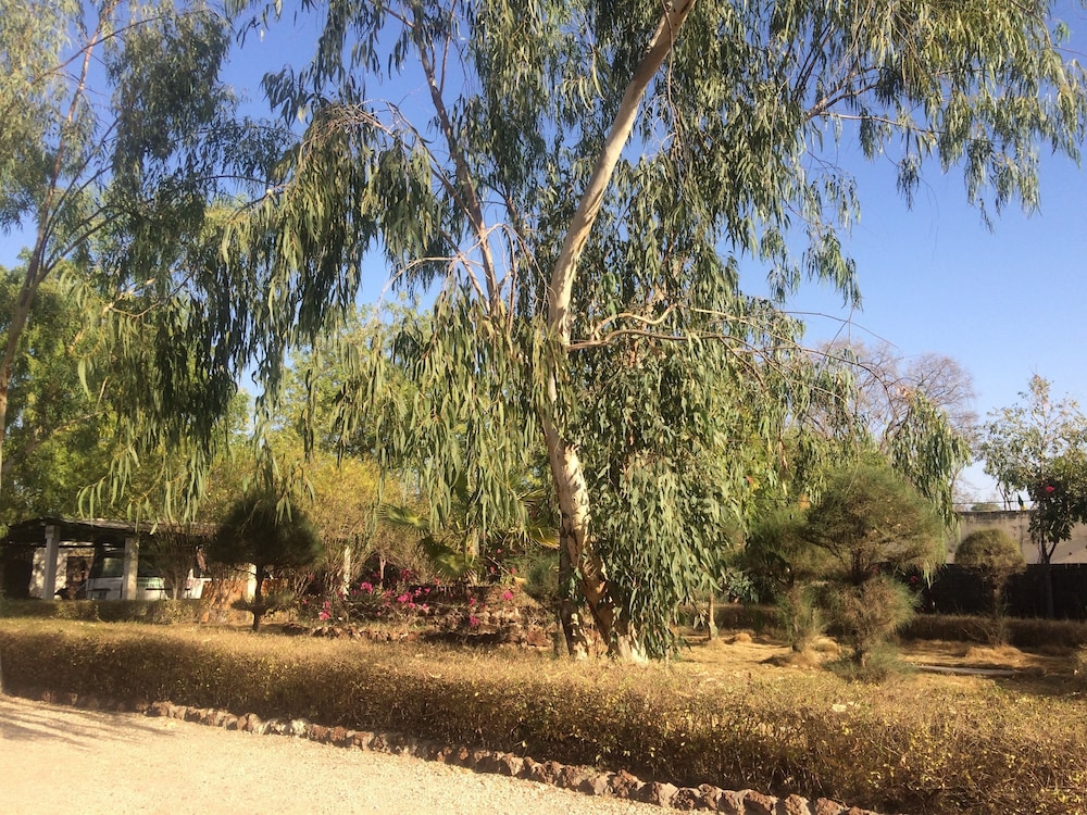 Africa Strike Lodge
