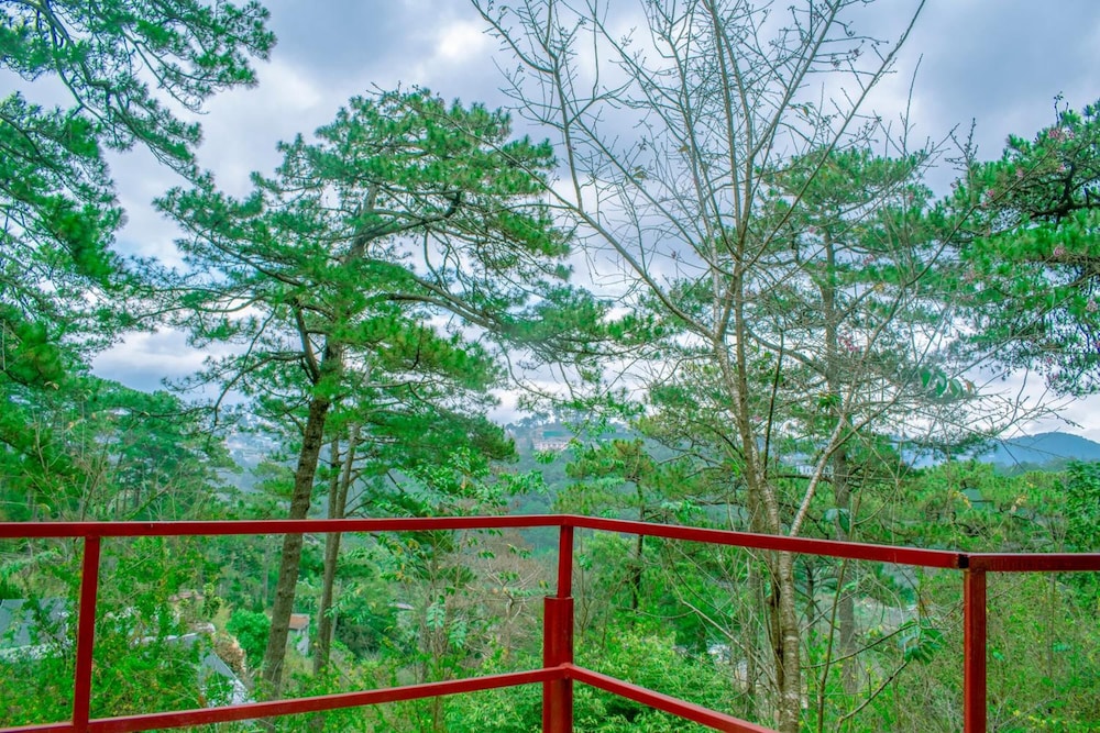 Maple Hostel