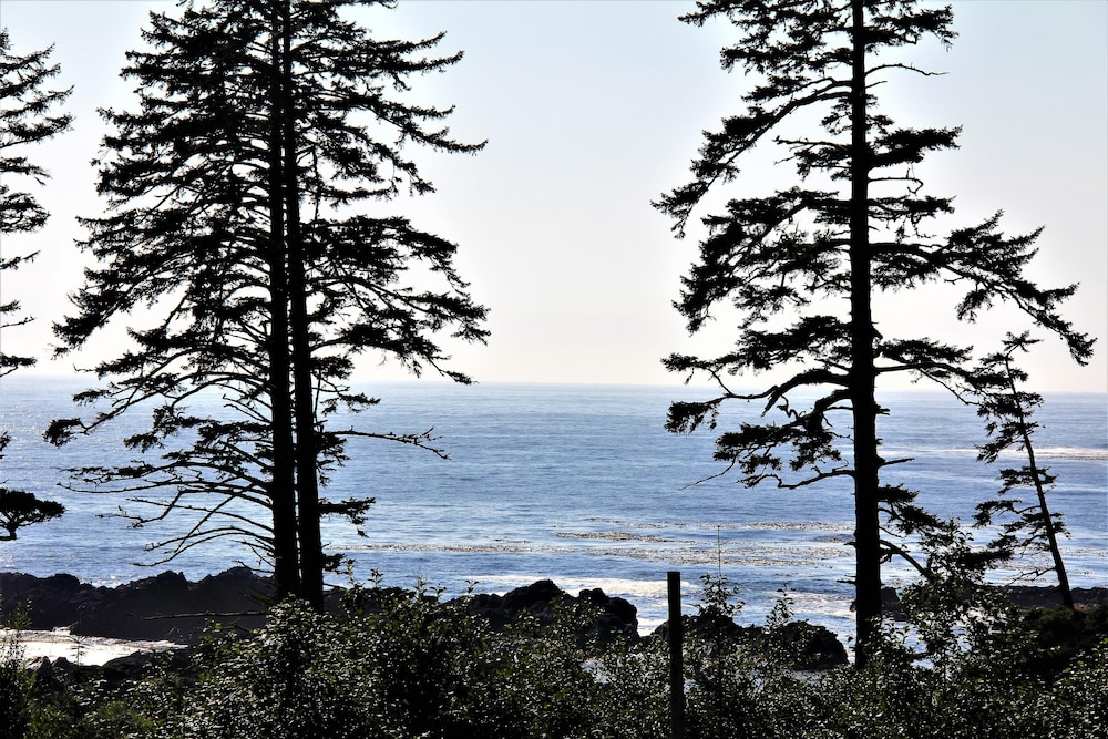 Big Beach Villa - Image 3