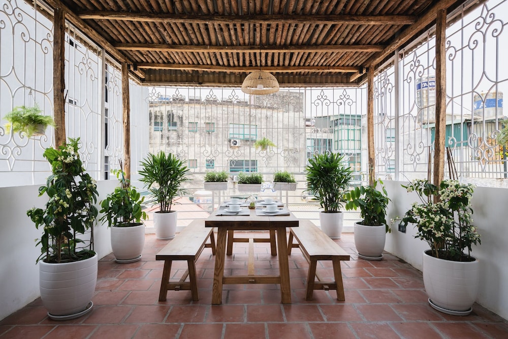 Rooftop Green Oasis