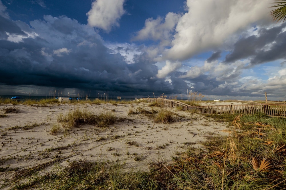 Ocean House Unit 2906