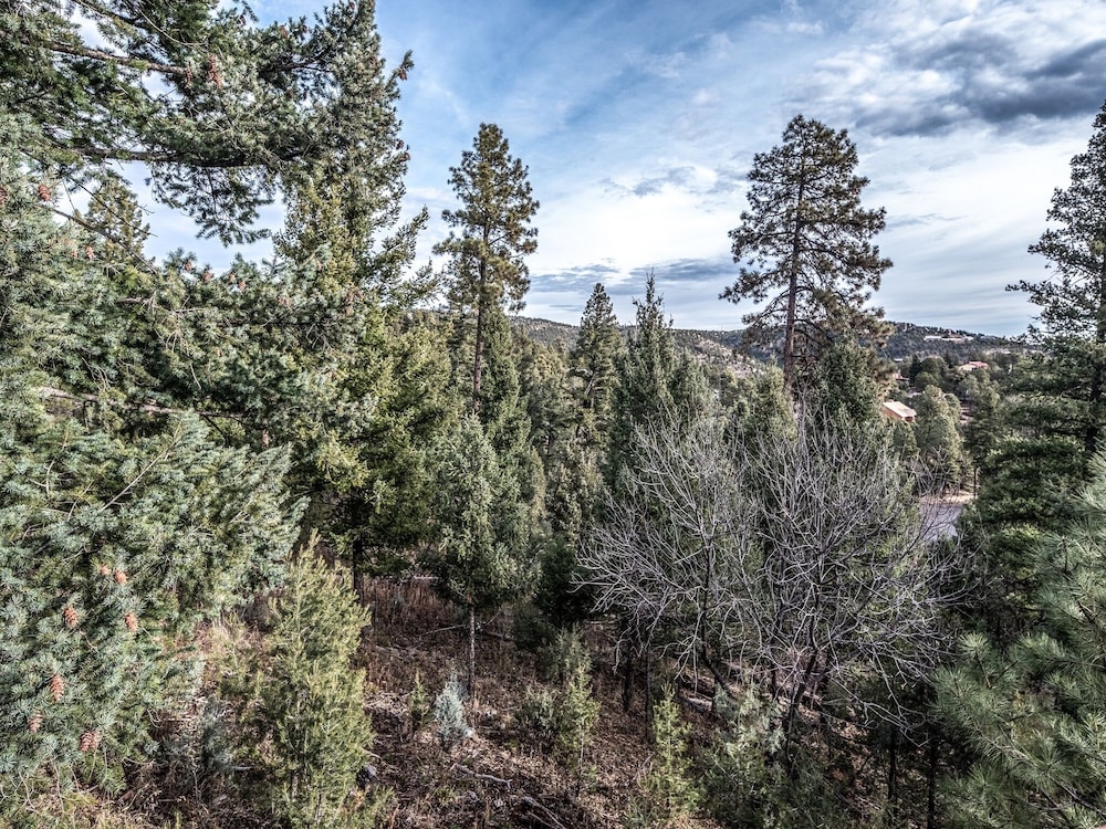 Garey's Deer Haven view 3