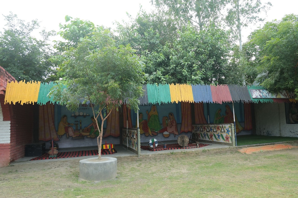 Photo 7