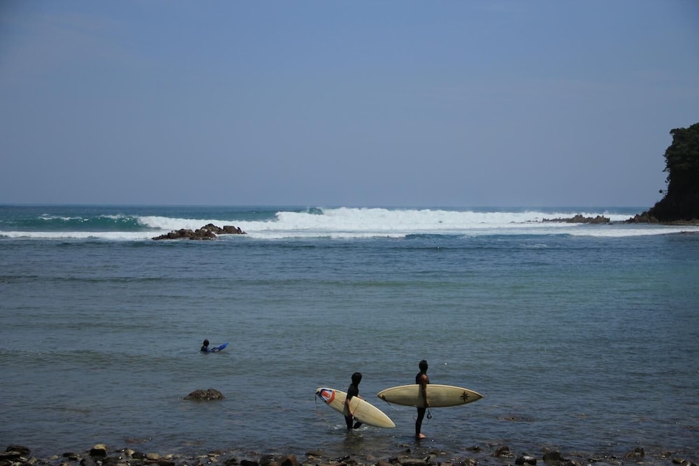 Pavilion Surf