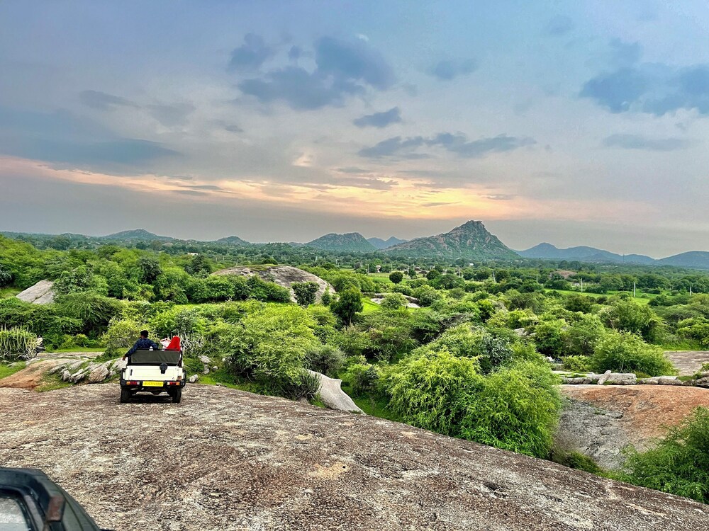 Jawai Horizon Camp