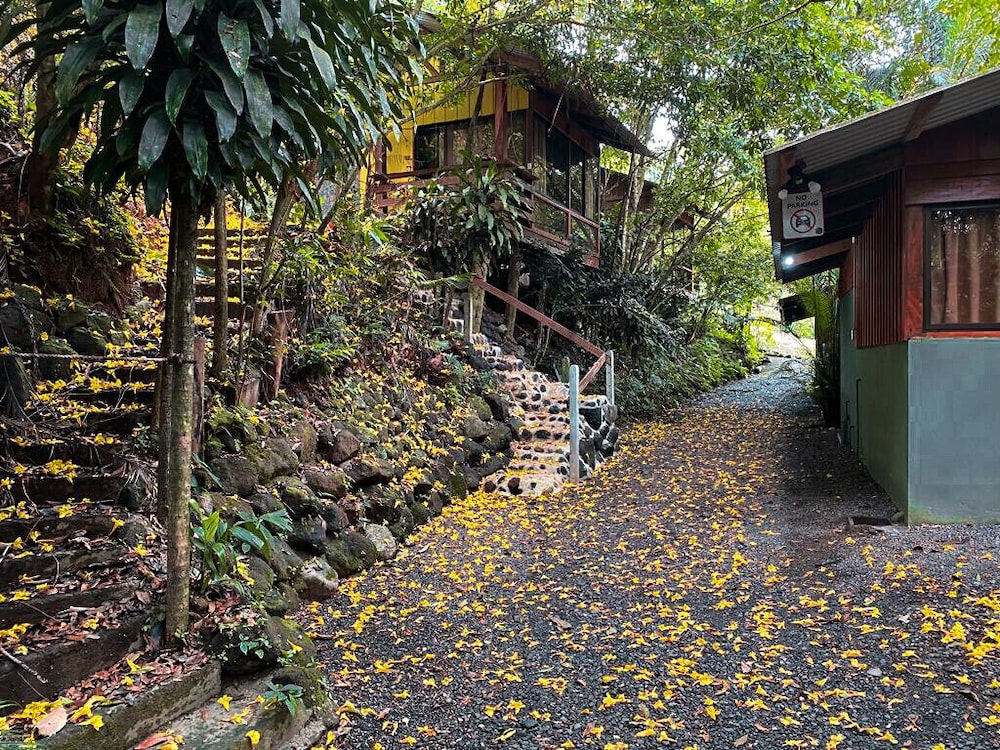 Cabañas del Lago
