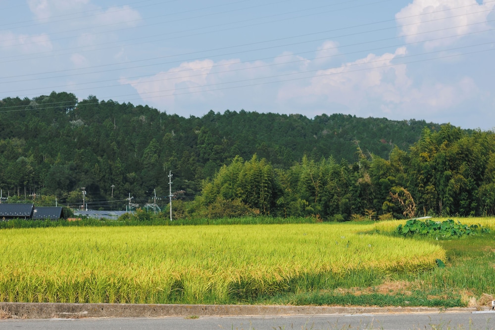 Yamotas MAGOME