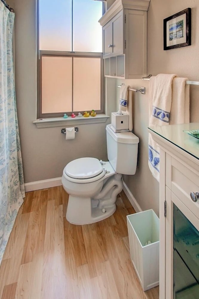 Serene Bungalow-style Home in Point Reyes Station! view 4