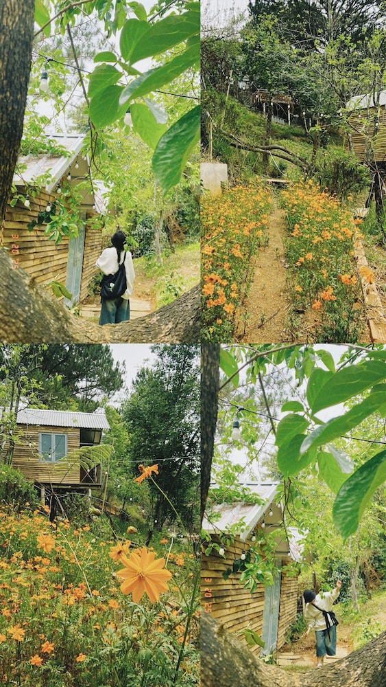 Dong Homestay
