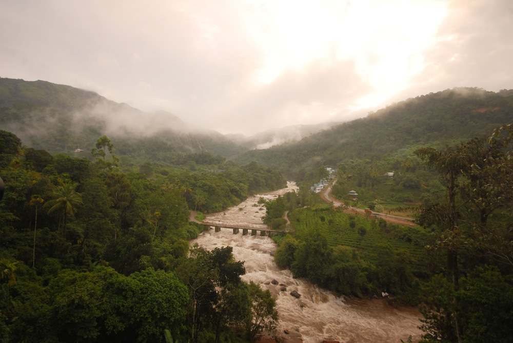 Rivulet