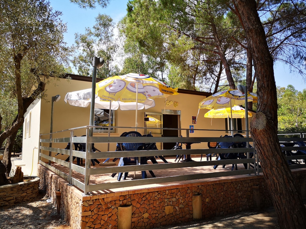 Photo 86