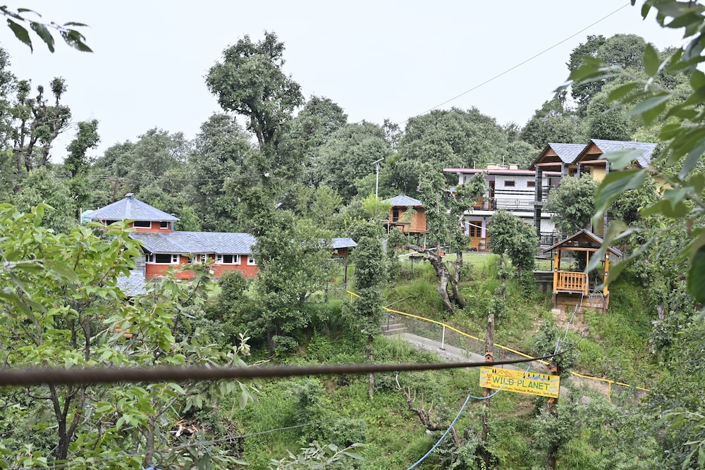 The Wild Planet - Treehouses & Cottages