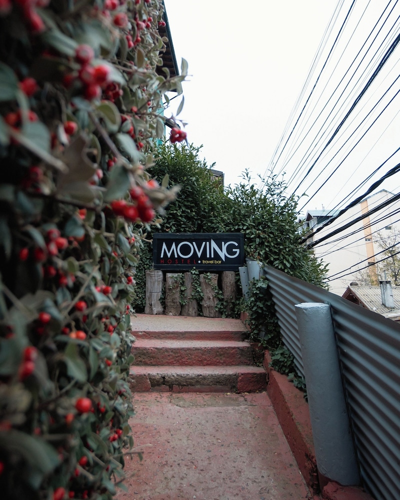 Moving Hostel Travel Bar