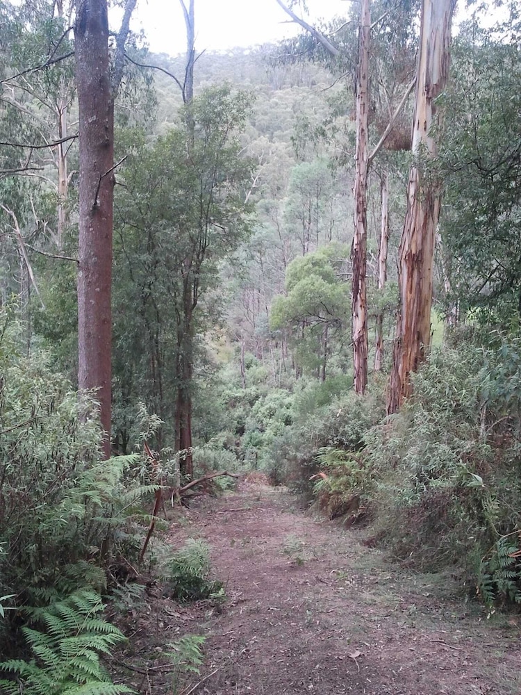 Near and Far Nature Stay
