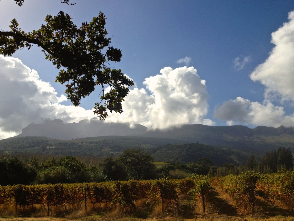 Calais Wine Estate