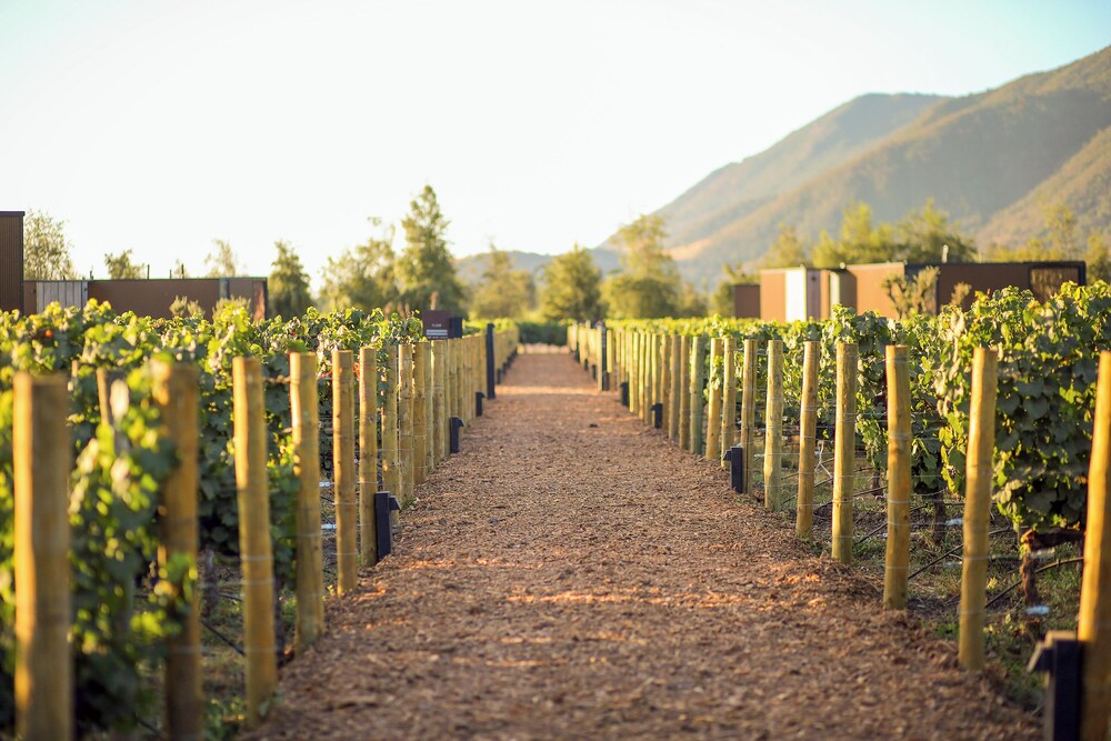 Vibo Wine Lodge