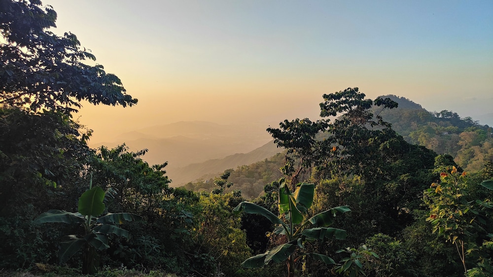 Minca Sintropia Organic Coffee Finca