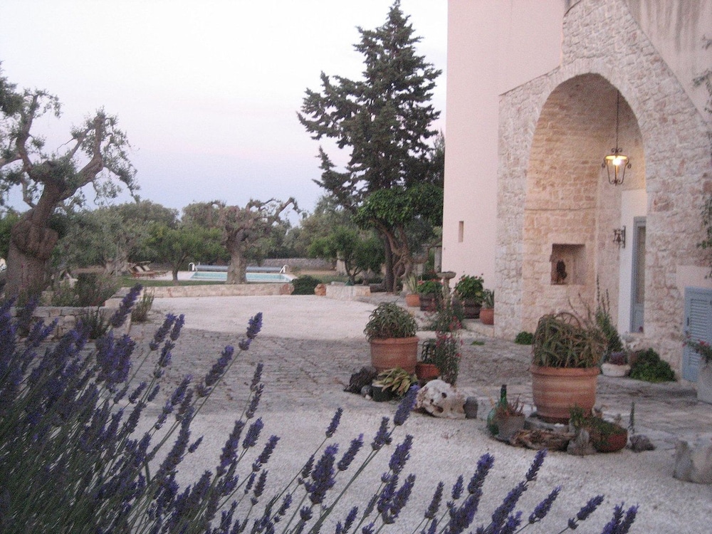 Photo 40