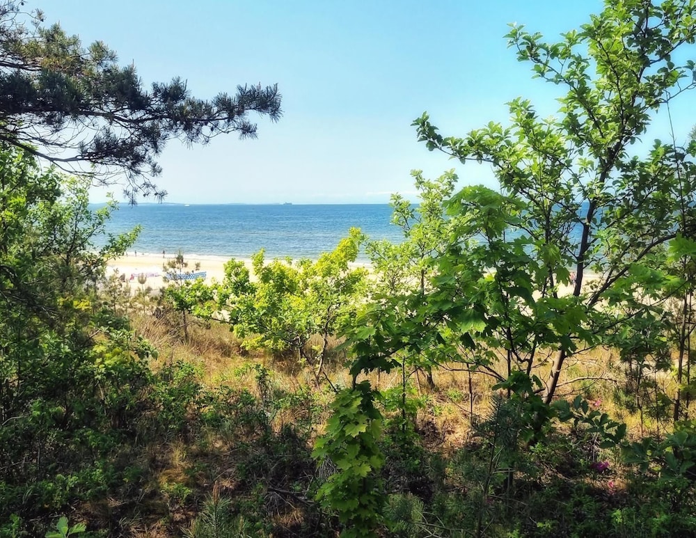 Apartment in Mrzezyno by Blue Flag Beach