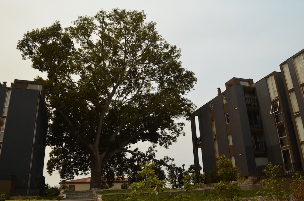 Lofts Magnolio Cerro Alegre