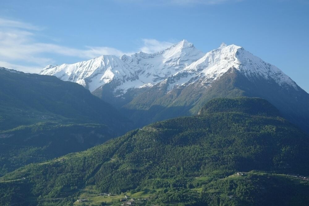 Le Vieux Noyer