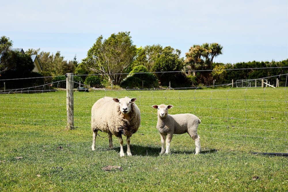 Awatea Country B&B