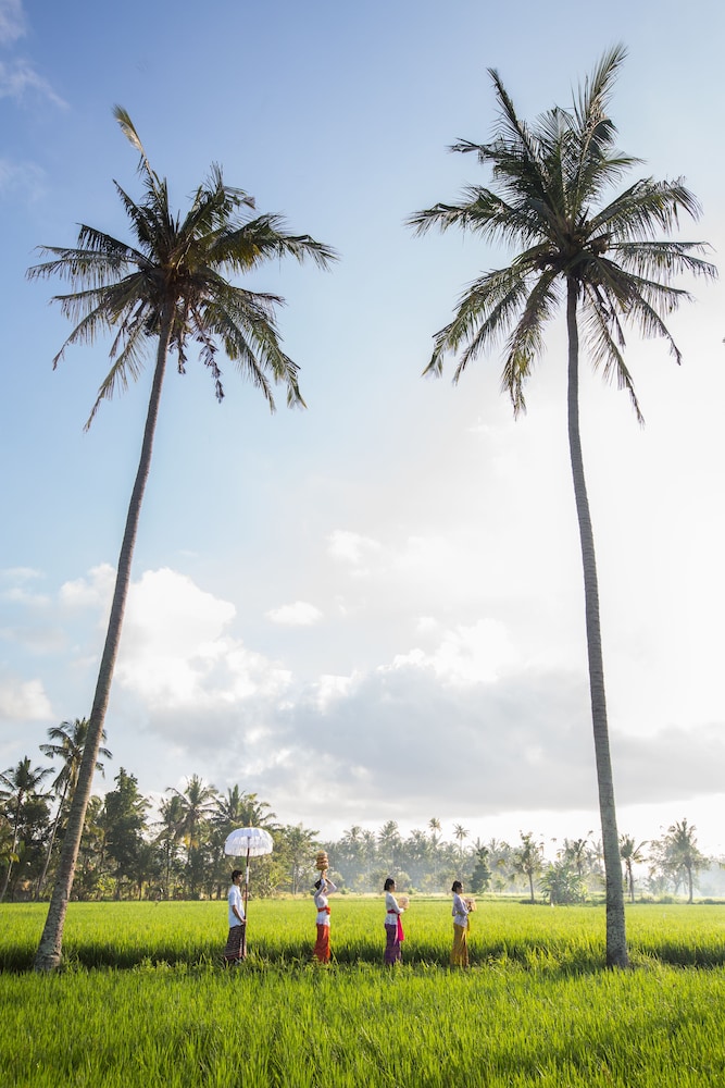 Anulekha Resort and Villa