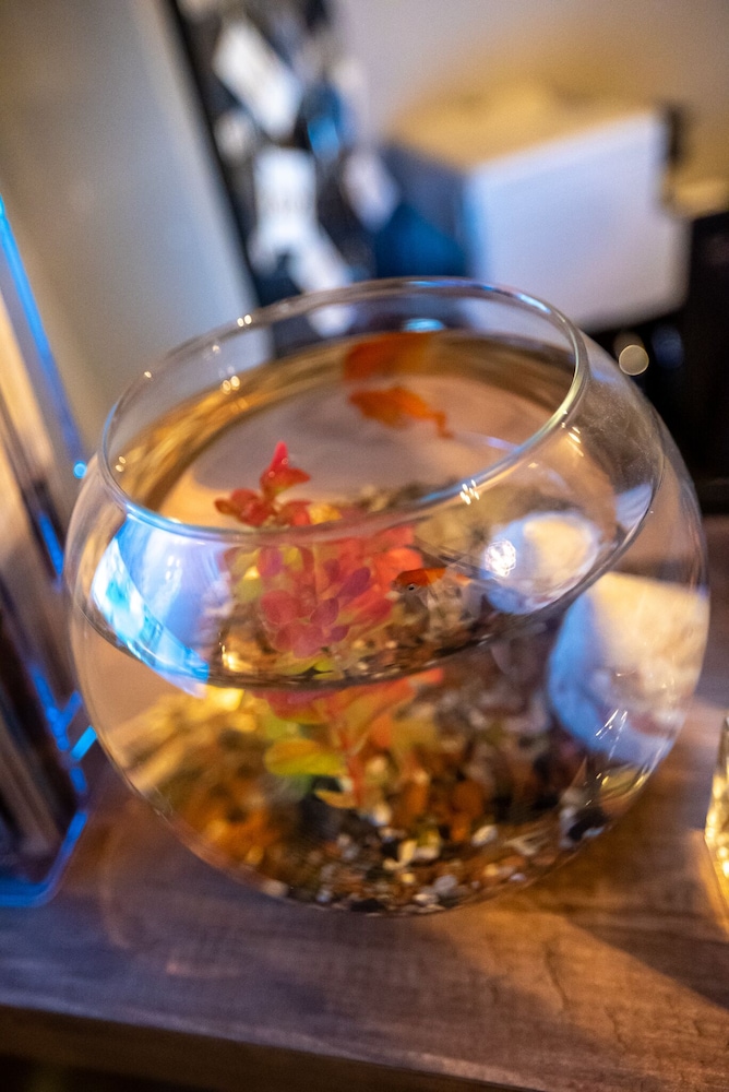 New Taksim Otel - Image 13