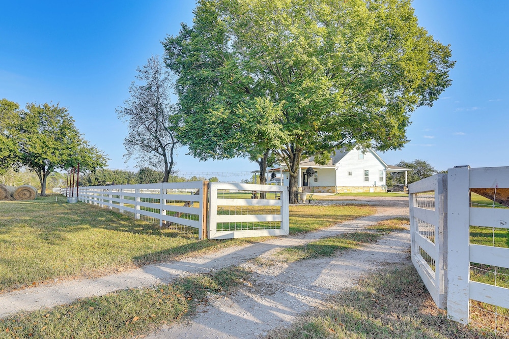 Farm Animals On-site: Needville Ranch Getaway!