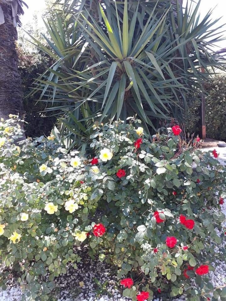 Photo 35