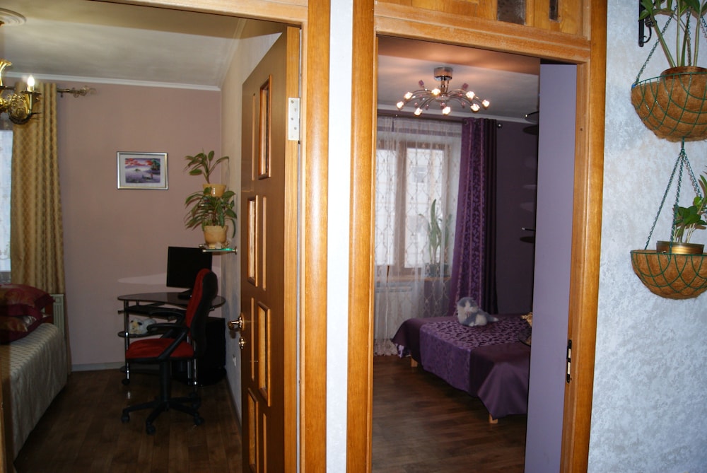 Apartment on Radischeva 23 apt 20 view 4