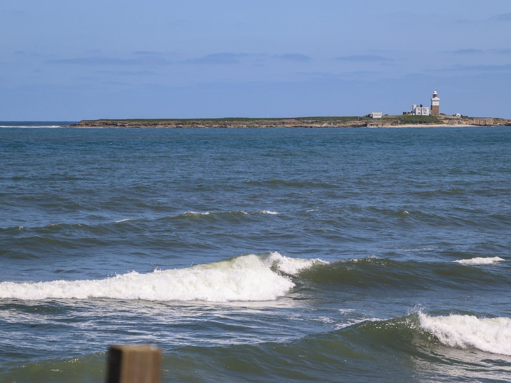 The Waves