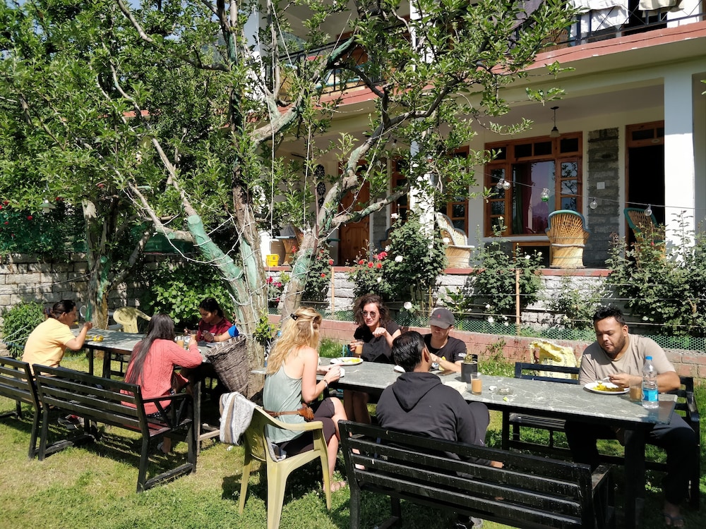 Madpackers Manali - Hostel view 2