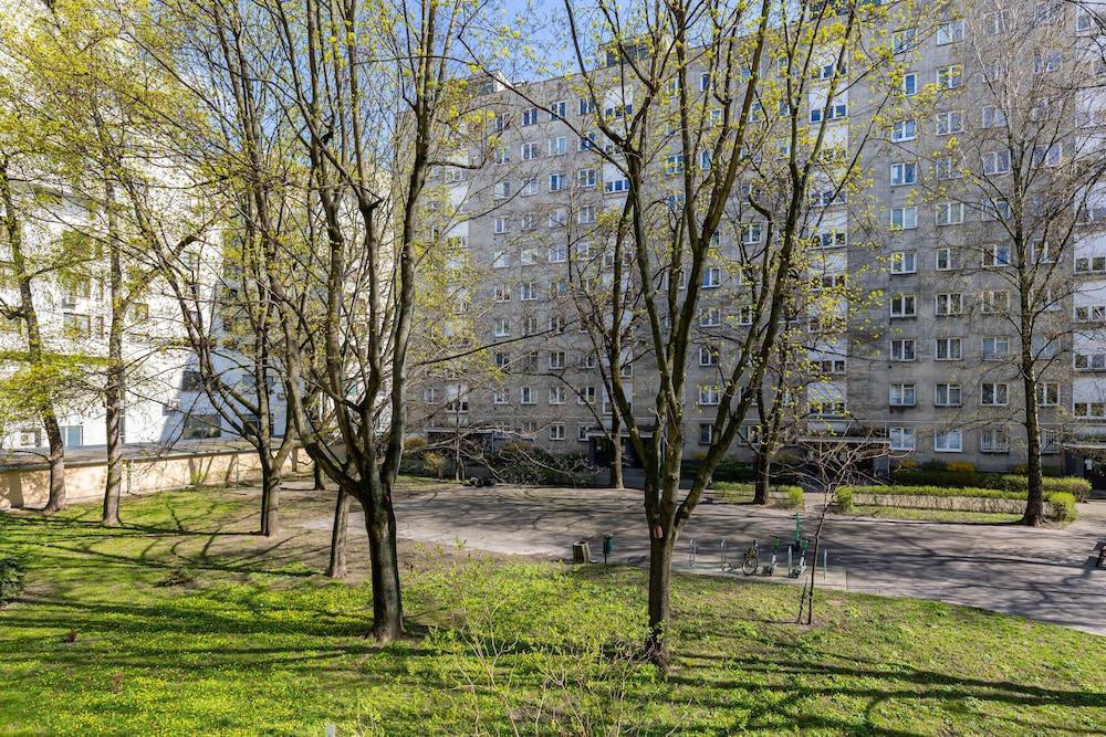 Photo 50