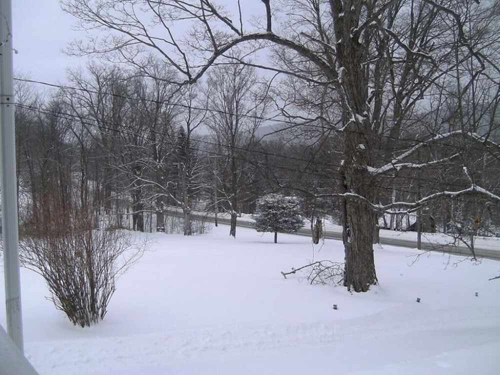 Locust Tree Bed and Breakfast LLC