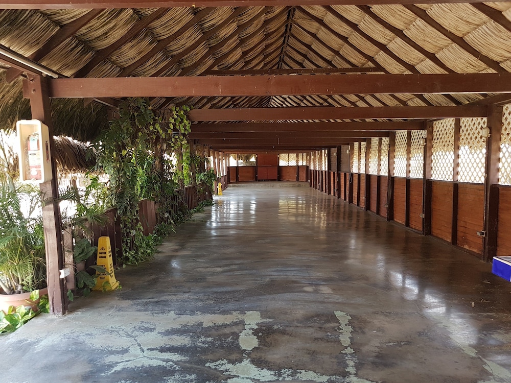 Arawa Kunuku Houses