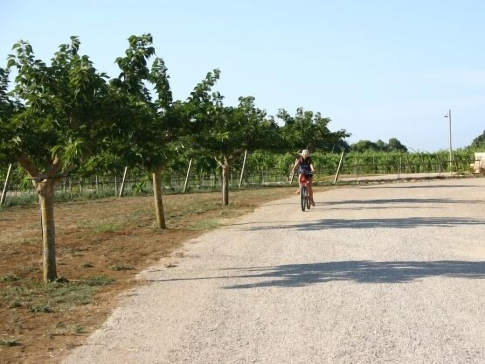 Tenuta Vigna Corallo